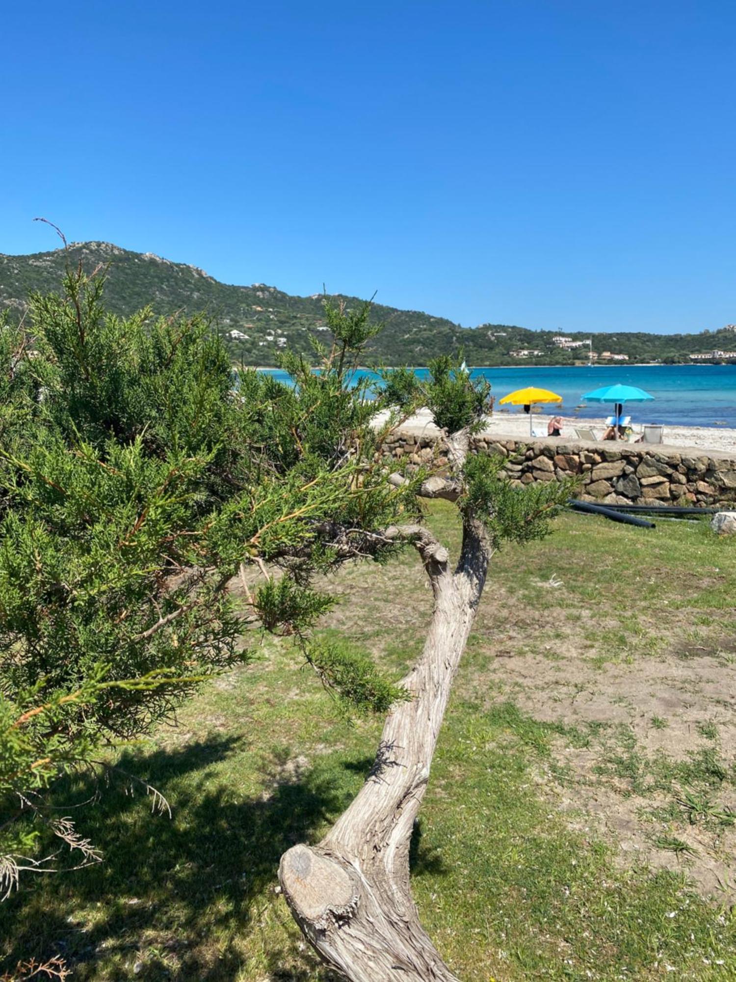 Cala Reale Rooms Marinella Маринела Екстериор снимка